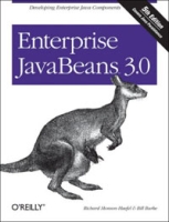 Enterprise JavaBeans 3 0 артикул 3313e.